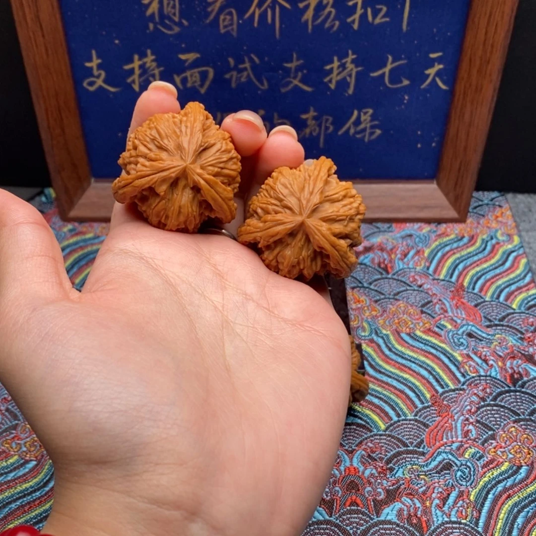 【闪购商品】三*.白狮