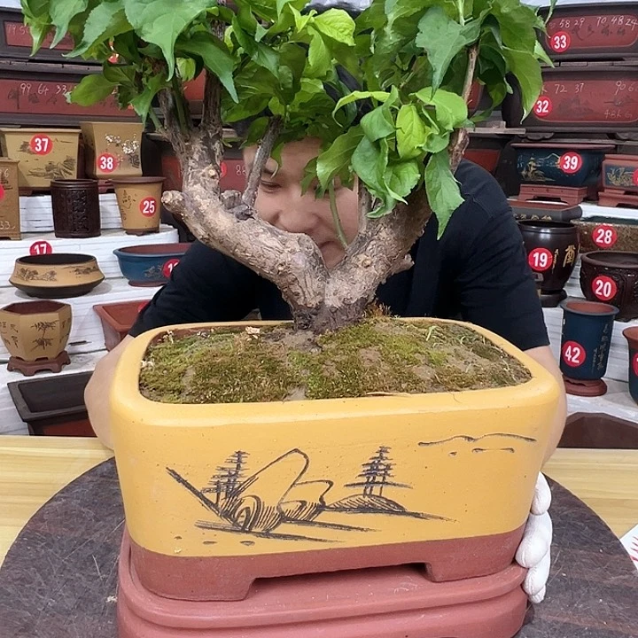 精品紫砂工厂直发