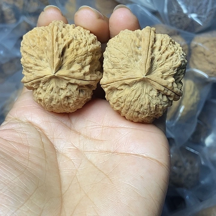 文玩核桃把件云南铁核桃基地2