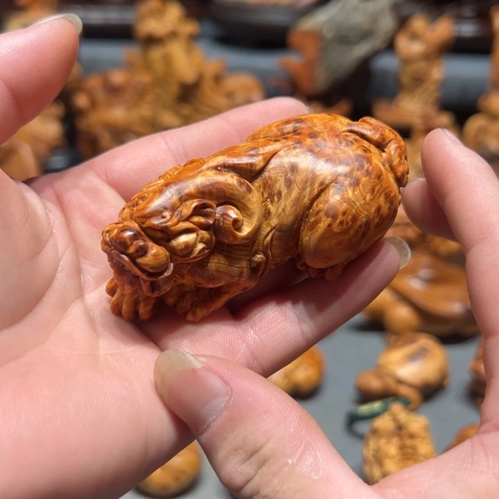 柏木（崖柏）点点关注