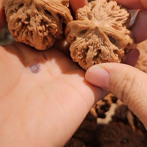 文玩核桃吊坠46粗筋