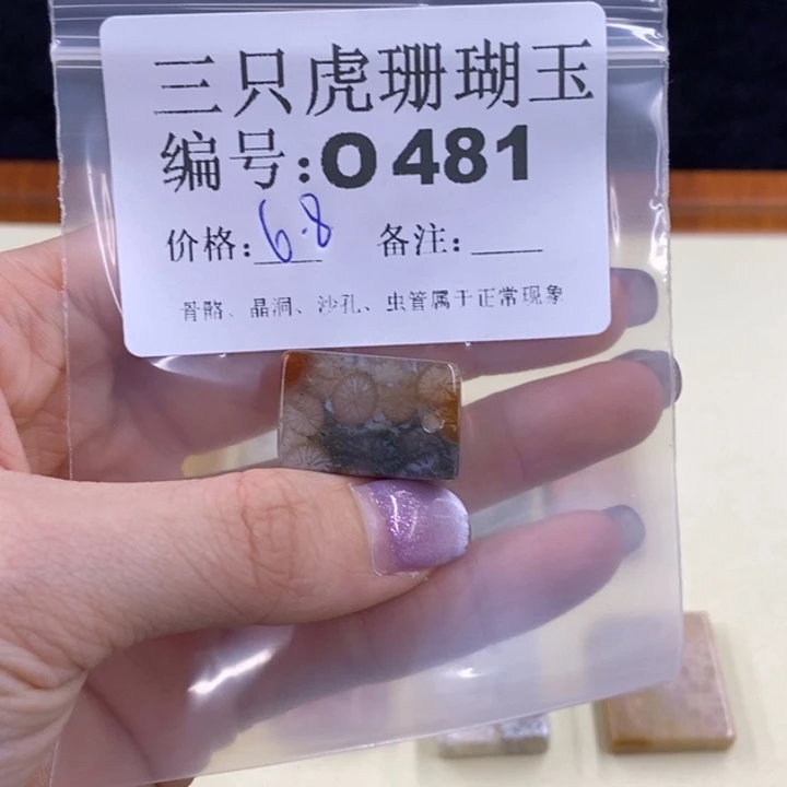 硅化珊瑚（珊瑚玉）未镶嵌o360C***O