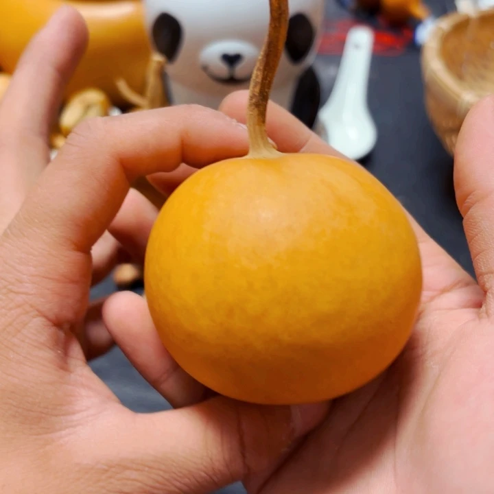 崔*o8788888888888888998