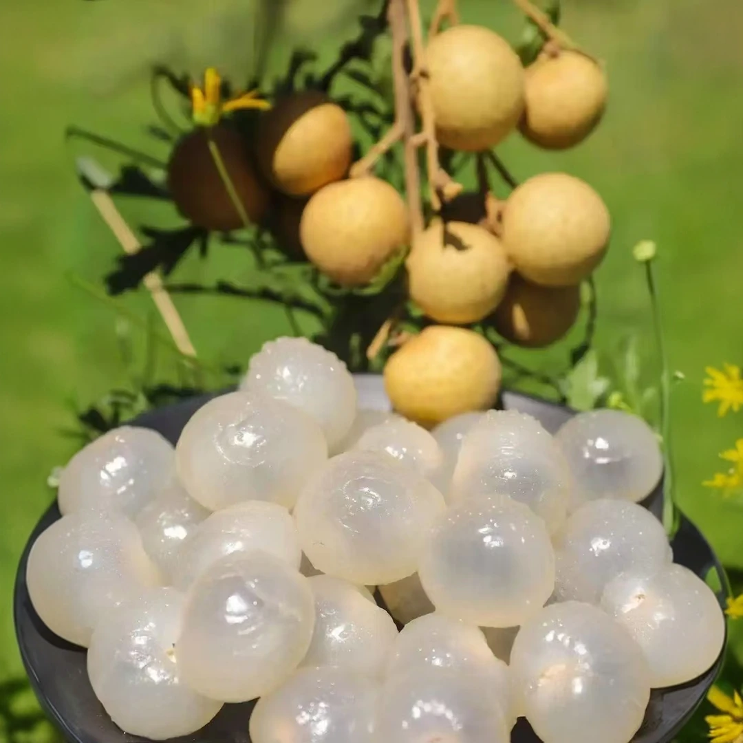 【顺丰包邮】广西平南石硖龙眼现摘现发肉厚新鲜当季桂圆果爆甜多汁