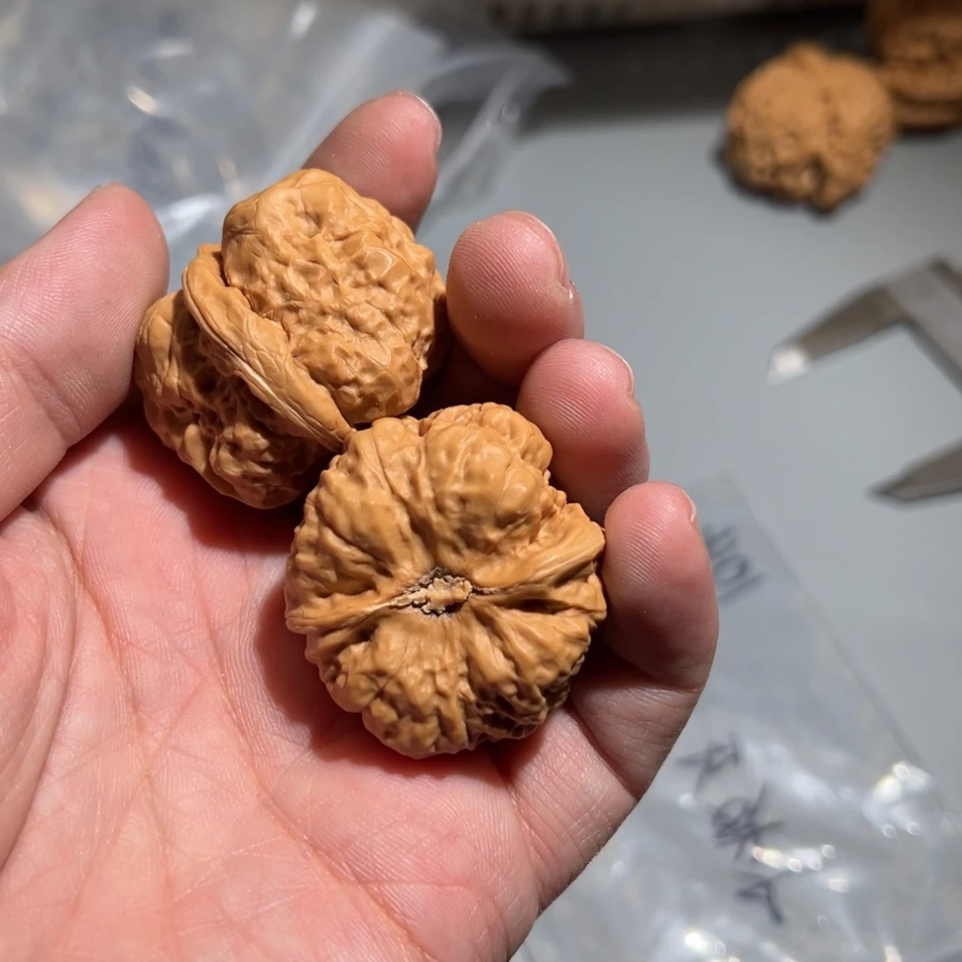 文玩核桃把件✨***学21212121212