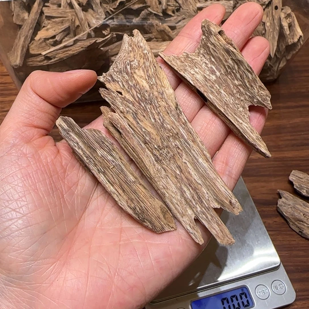 沉香沉香碎屑海南沉香虫漏10克