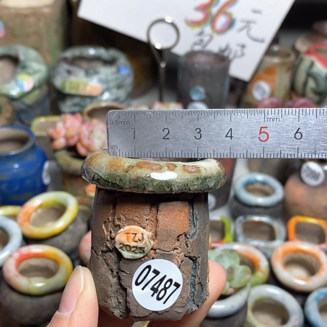 花盆拍3送一个小礼物