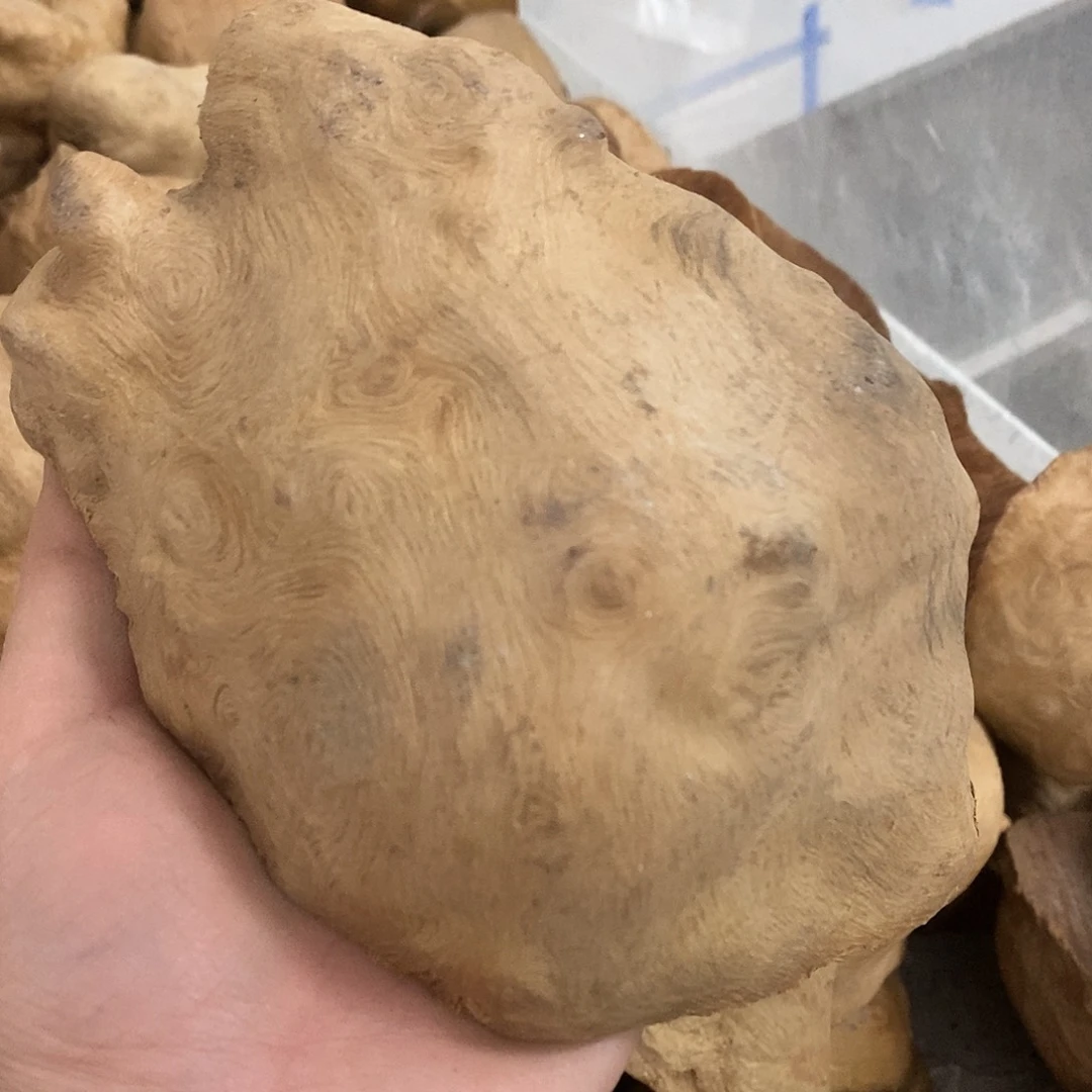 荔枝木普*法荔枝木原料