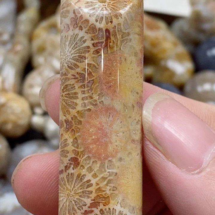 颈饰未镶嵌硅化珊瑚（珊瑚玉）