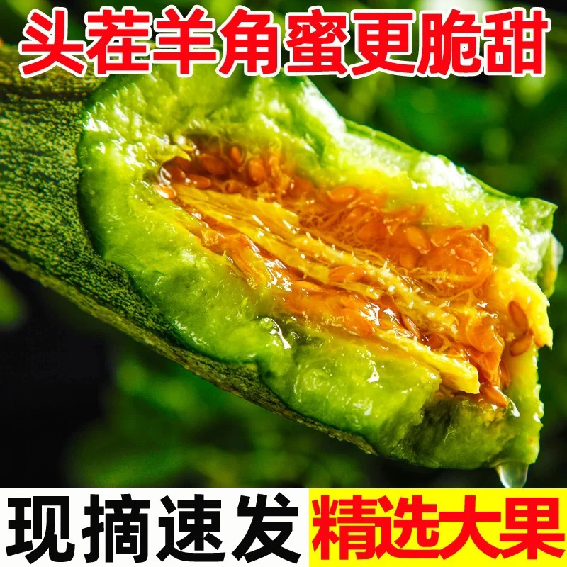 海南翡翠羊角蜜2公斤脆甜多汁超级好吃京东送货上门乌鲁木齐昌吉石河子五家渠