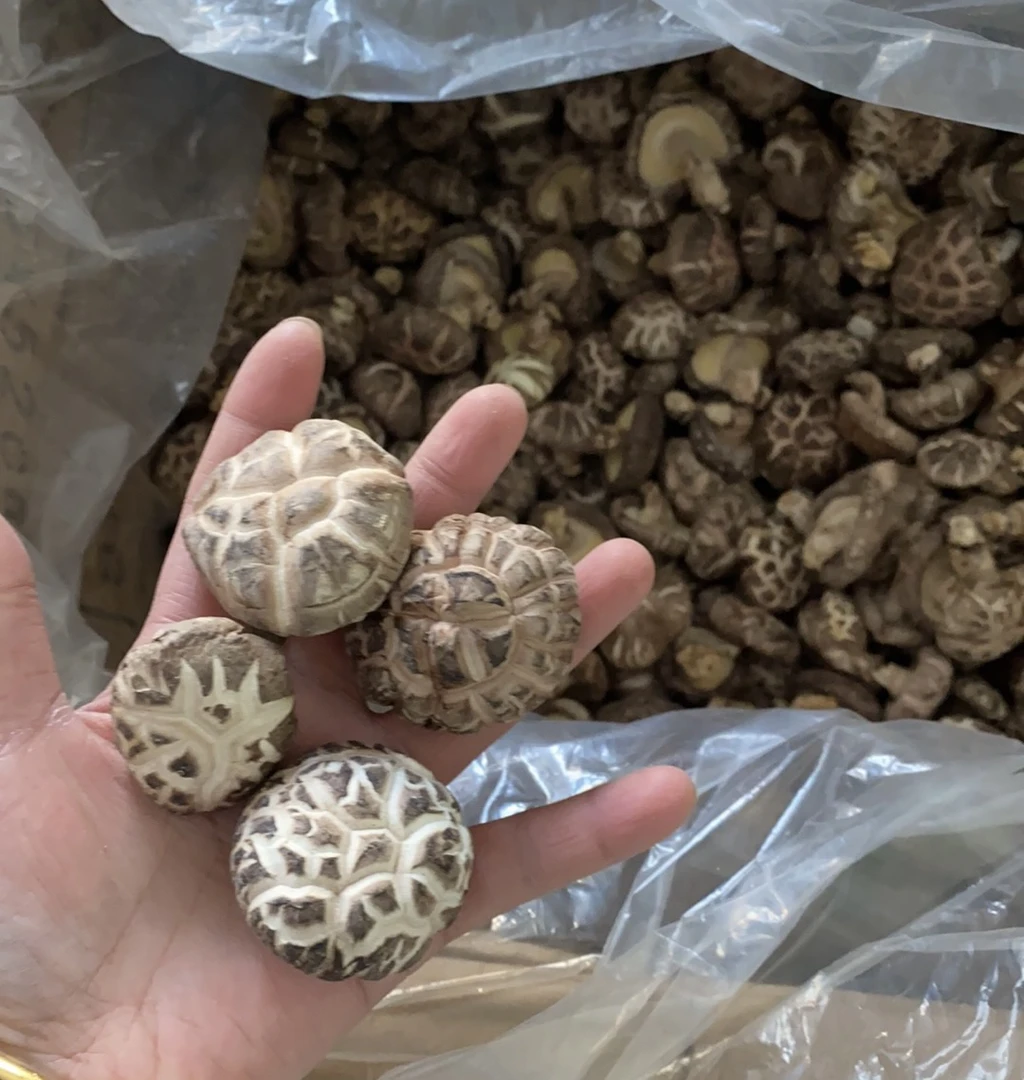 东至土特产花菇木耳礼盒送礼佳品