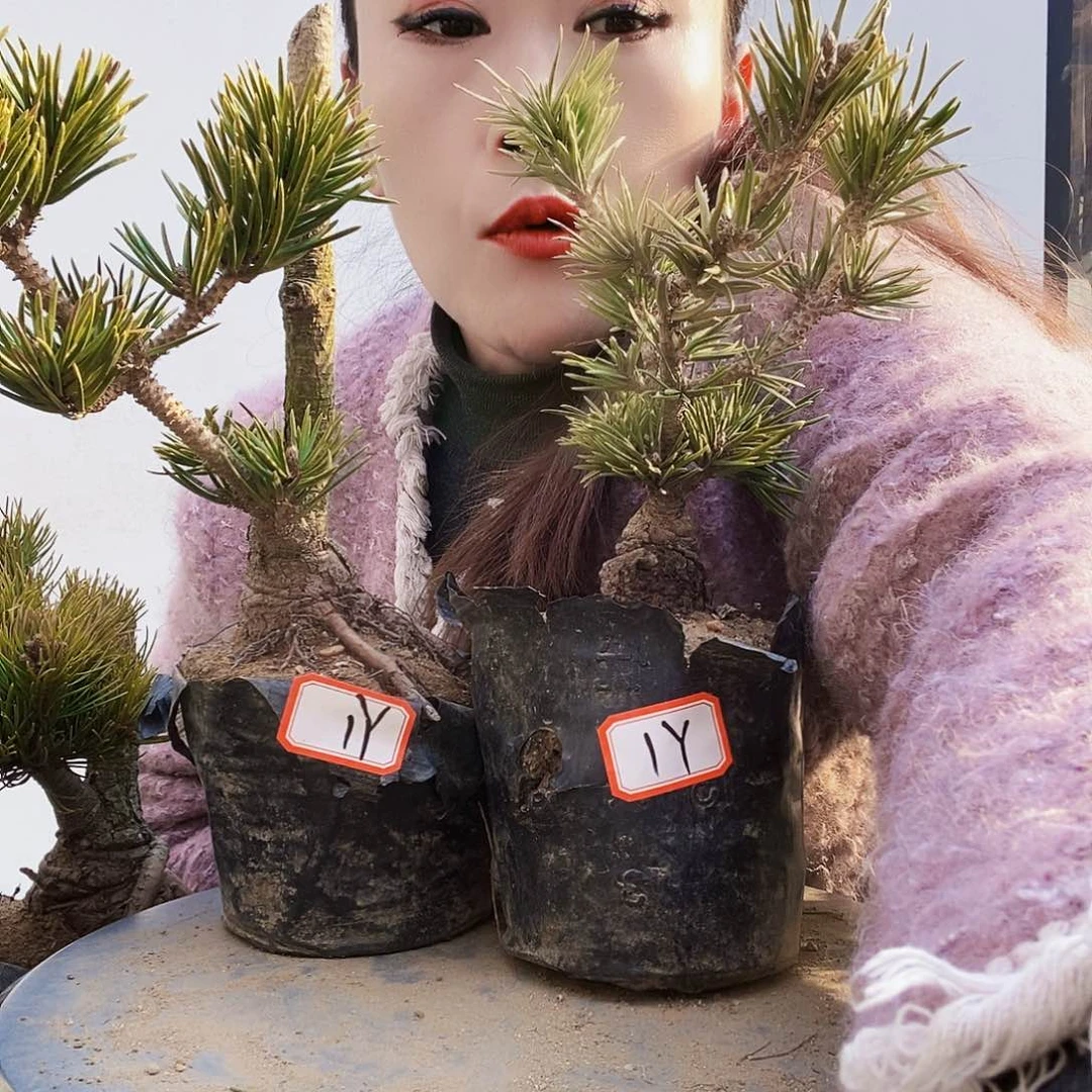 植物形态多年生草本