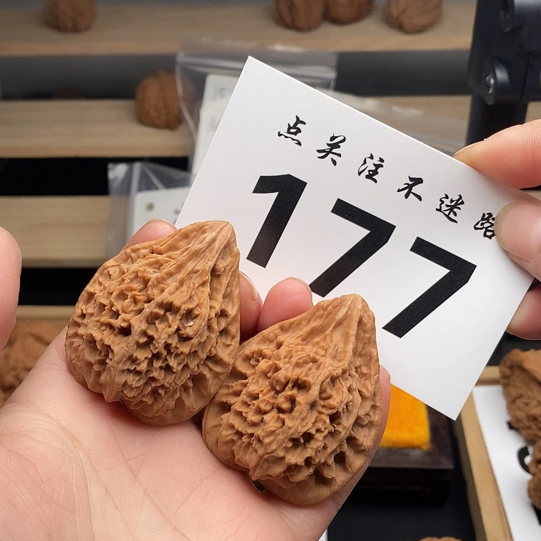 核桃41鸭嘴兽 177