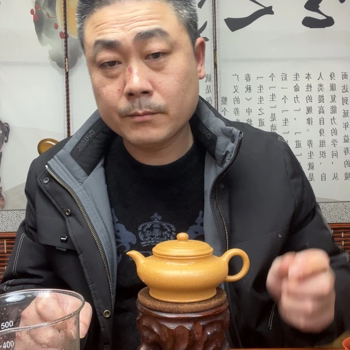 茶壶紫砂原矿黄金段全手工虚扁200毫升