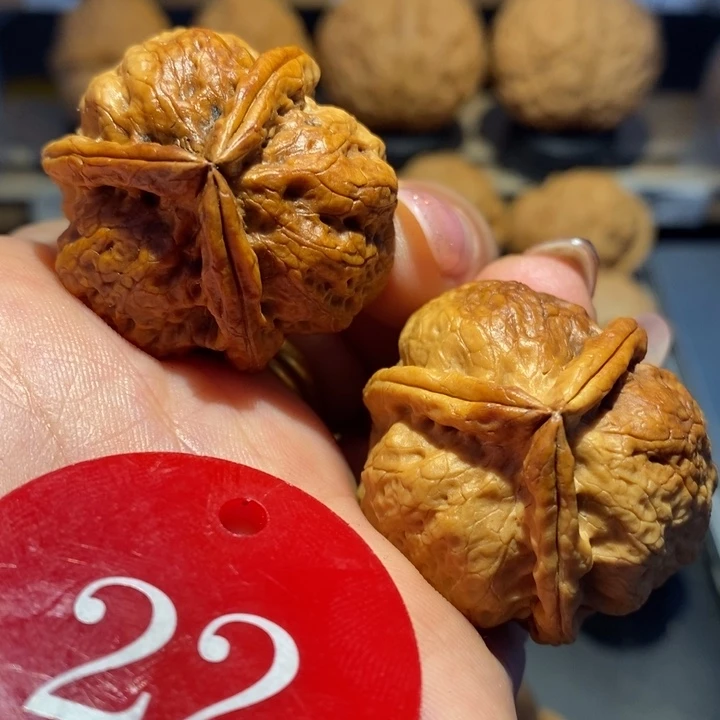 核桃七彩糖三角尺寸35