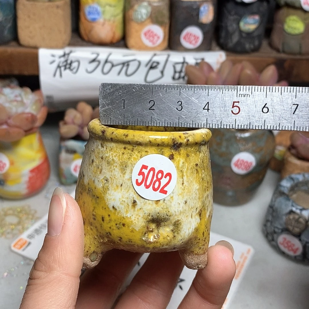 红陶拍5送一个小