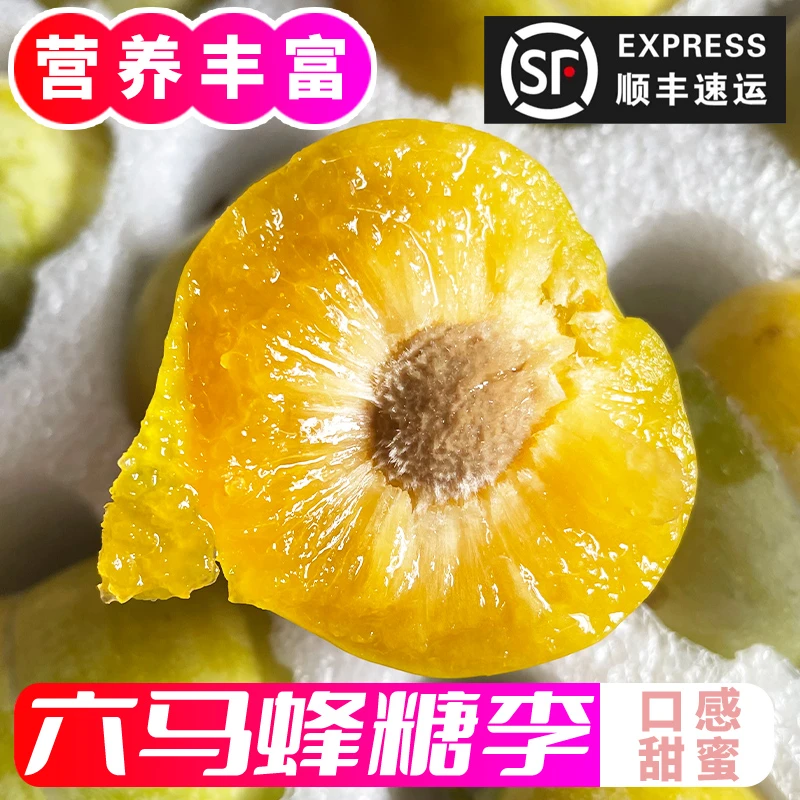 【十年老树 假一赔十】贵州六马蜂糖李新鲜现摘甜脱骨应季孕妇水果
