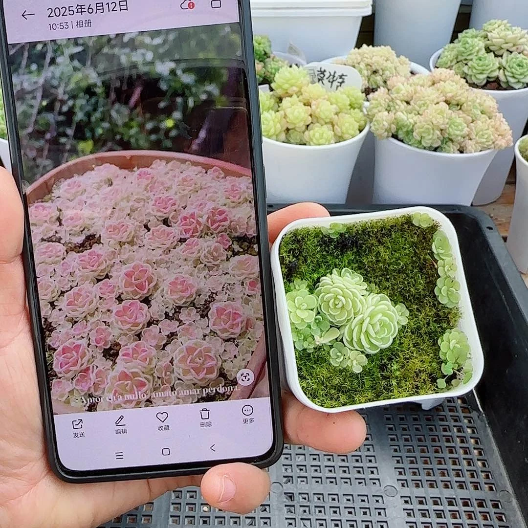 【闪购商品】0613-10
