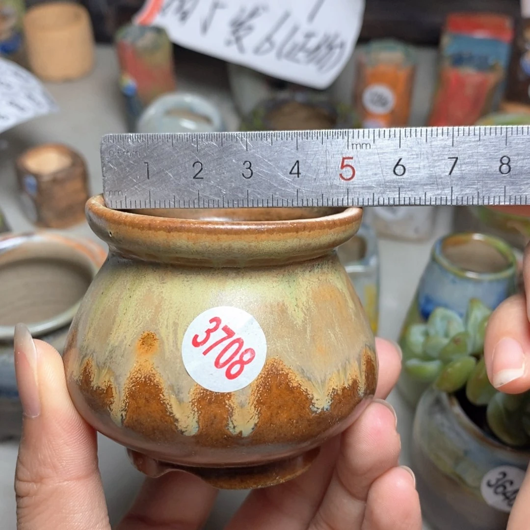 拍5送一个小礼物