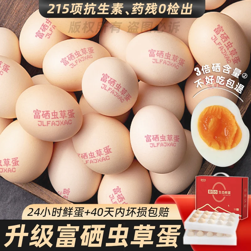 【官补】60枚无抗富硒虫草蛋礼盒京东上门50±5g新鲜孕婴土鸡蛋 10枚