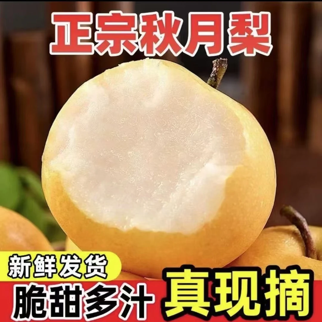【顺丰包邮】个头超大秋月梨正宗砀山秋月梨脆甜爽口细嫩化渣超甜