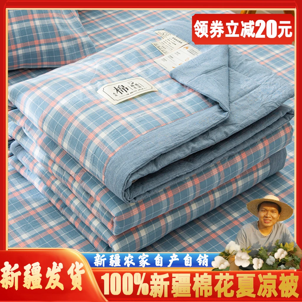 新疆棉花被纯棉花夏凉被全棉空调被夏被薄被子里外全棉可水洗被子