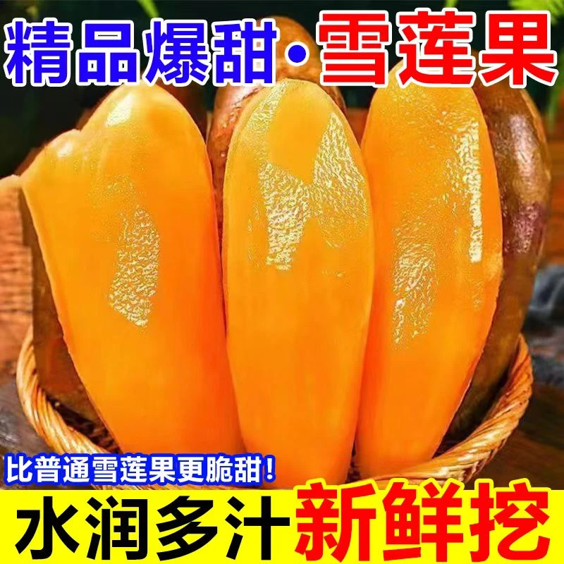 云南天山雪莲果黄心新鲜应季水果清甜脆爽多汁