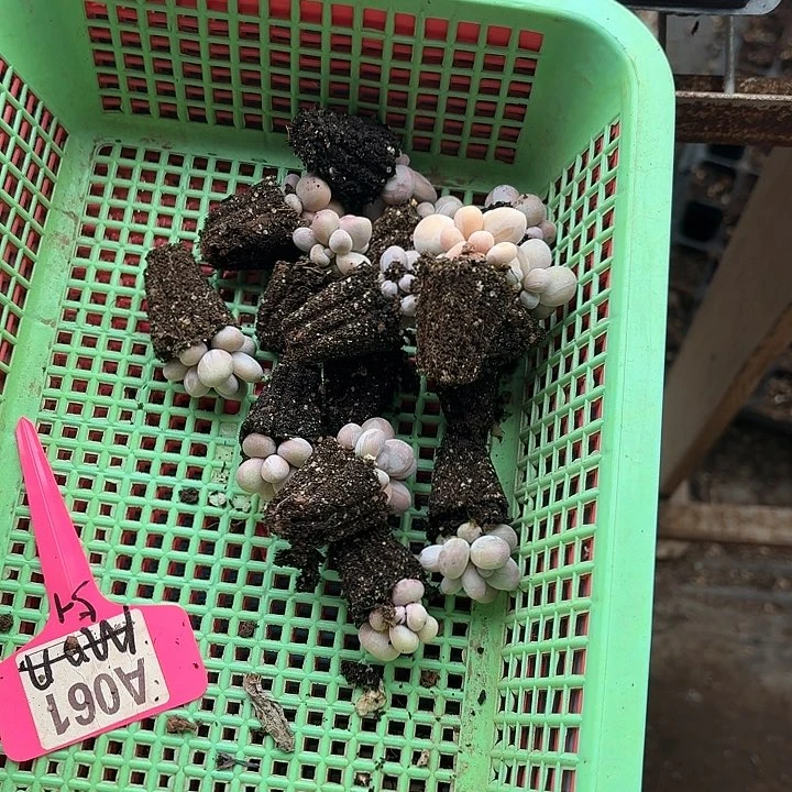 Z***丶z j x j d h h d j d j 061