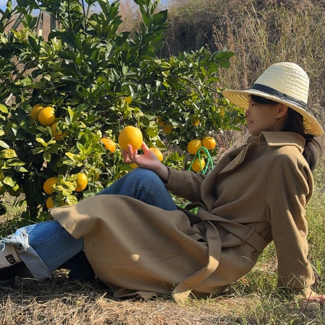 正宗赣南脐橙新鲜采摘老人孕妇小孩水果