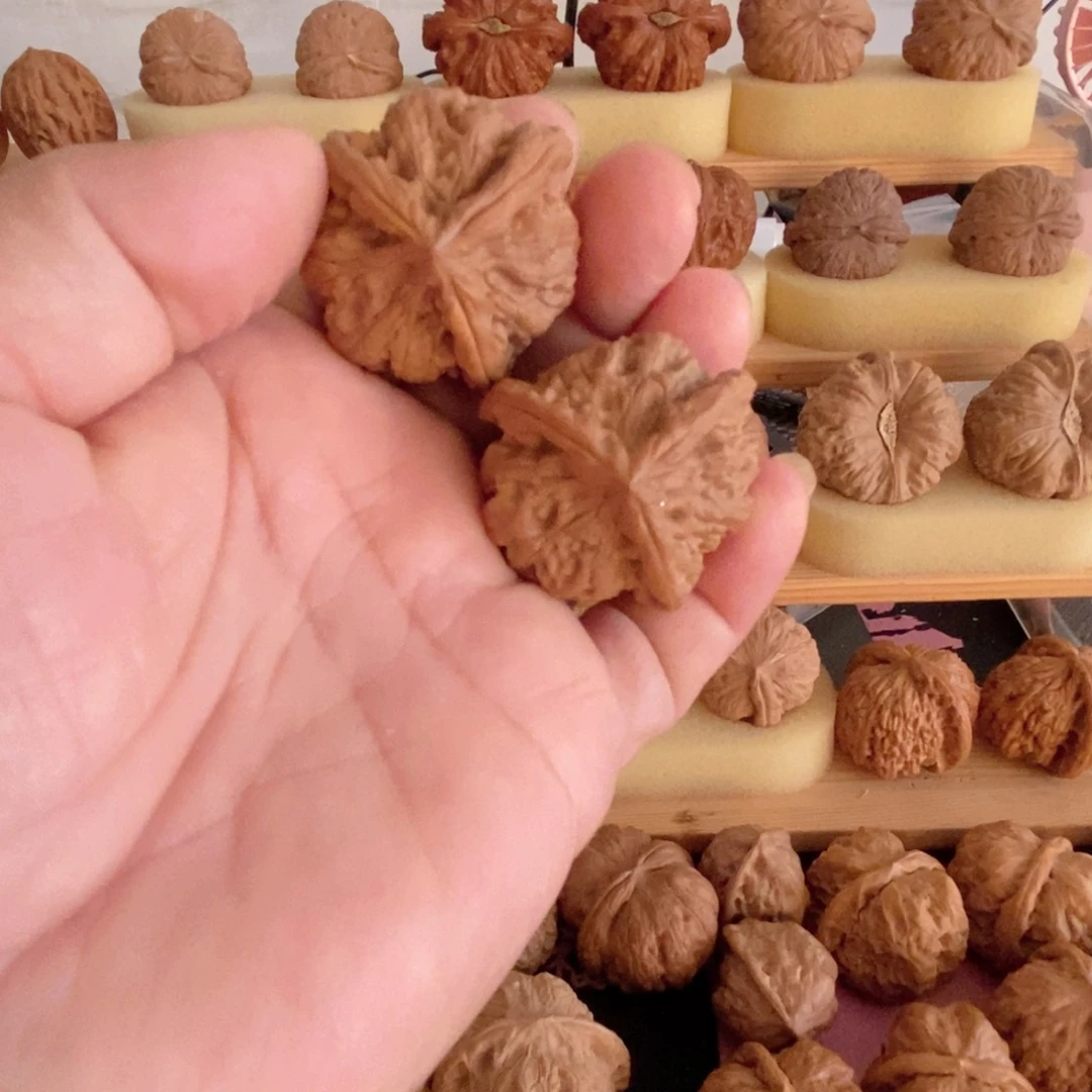 全品无修34玉玺新果三棱