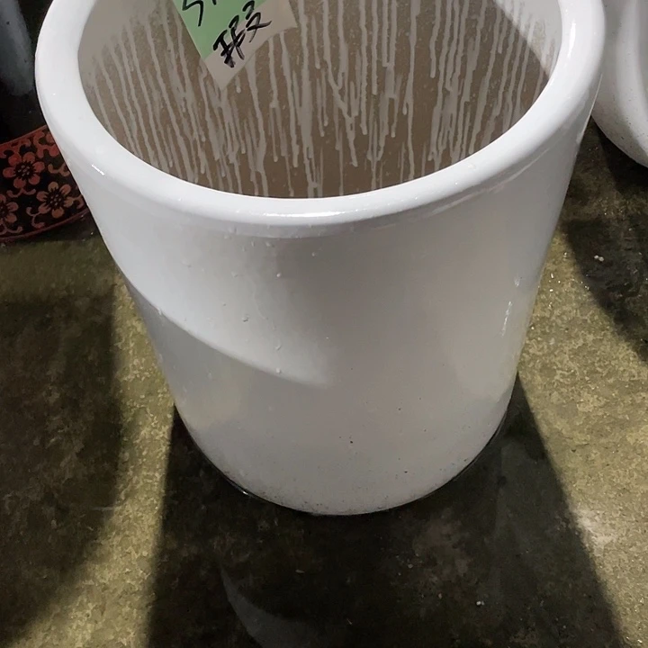 我是一只小小鸟地域鬼的人生观价值观