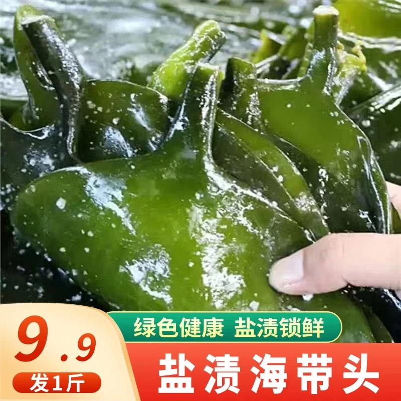 【9，9发1斤】盐渍海带头 炒菜煲汤 500g/袋B