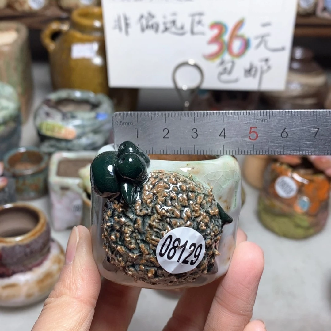 特价不退不退花盆拍3送一个小礼物