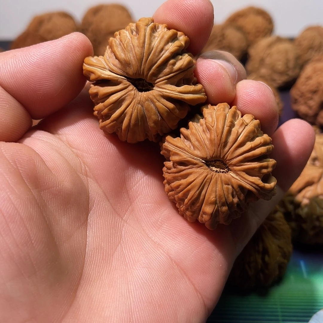 文玩核桃吊坠39全品满肉菊花底南瓜楼