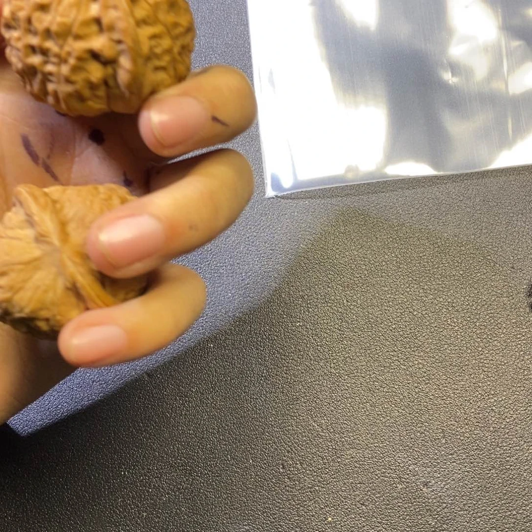 肯***珂全111111111111111111