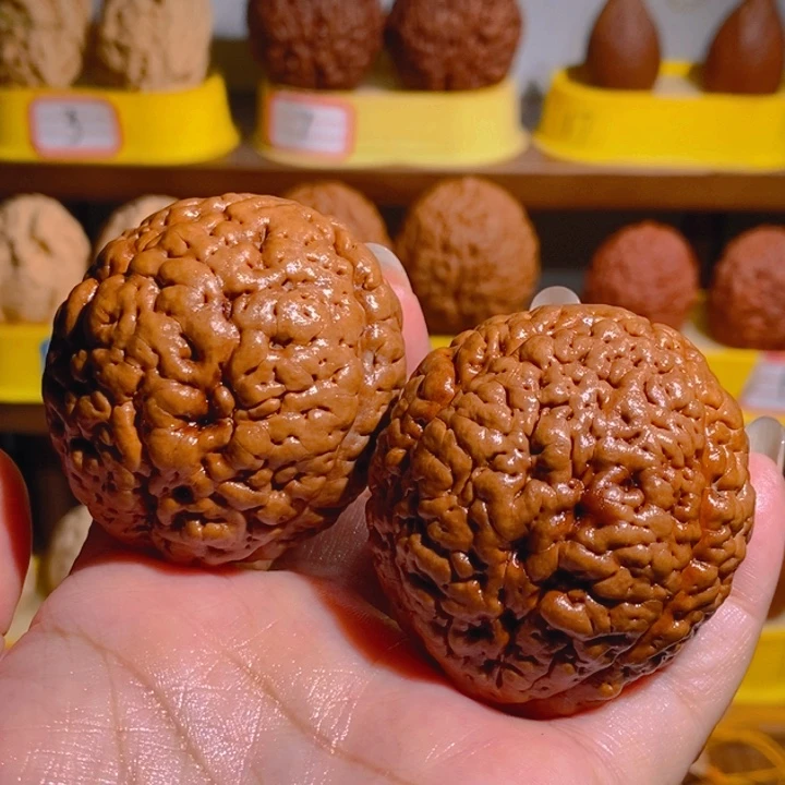 野生三瓣脑纹大金刚4651