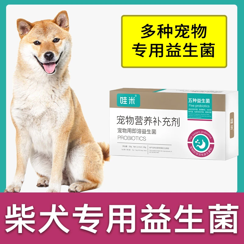 柴犬专用益生菌粉成幼犬用狗狗宠物即溶肠胃宝肠道消化宝卫生