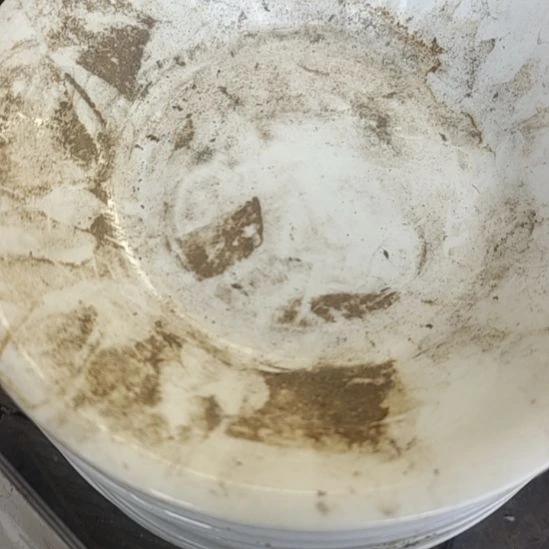 瓷发四个汤盘口径23