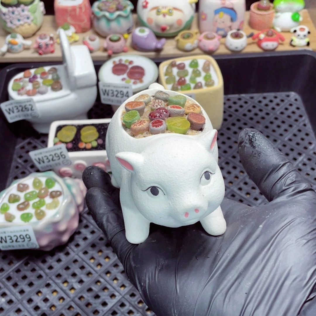 夜间零下地区拍保温箱w3304