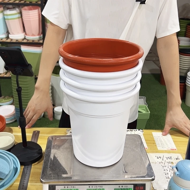 特价翻边口23高25混色无托4只