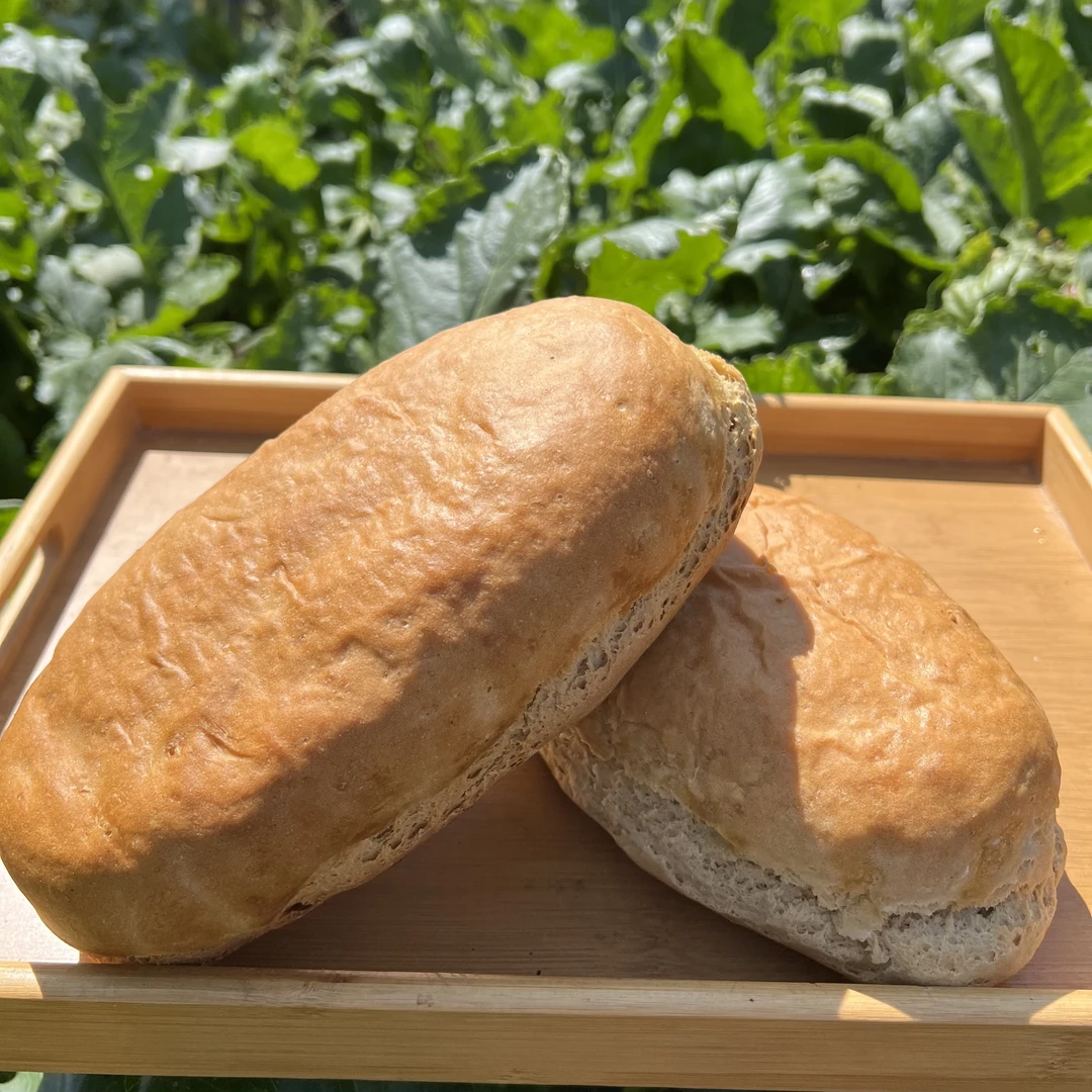 甘肃柴火烤锅盔老酵母发面草木烤制甘肃柴火馍馍