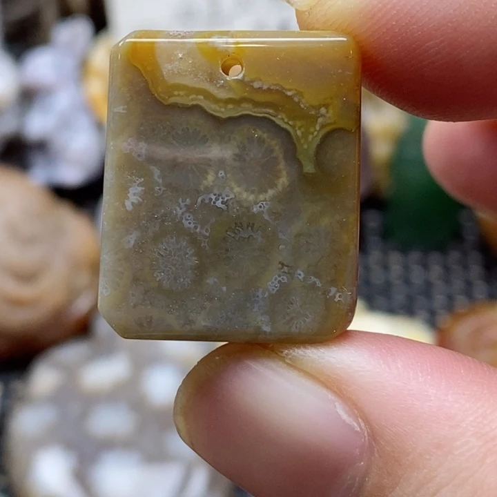 硅化珊瑚（珊瑚玉）颈饰未镶嵌小吊坠
