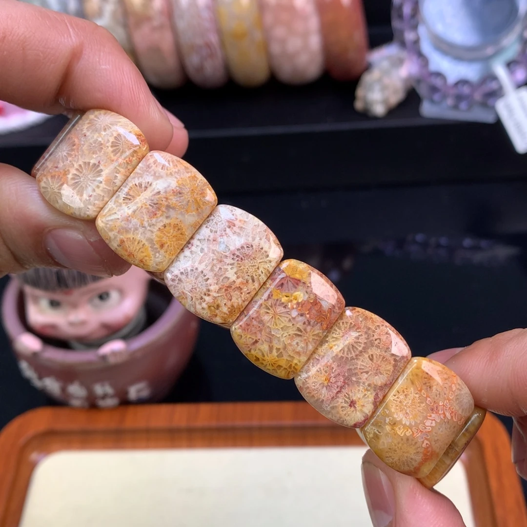 硅化珊瑚（珊瑚玉）未镶嵌颈饰38号彩大花