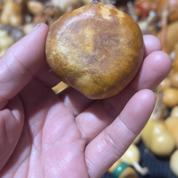 S***n葫芦哈哈哈哈哈哈哈哈哈哈