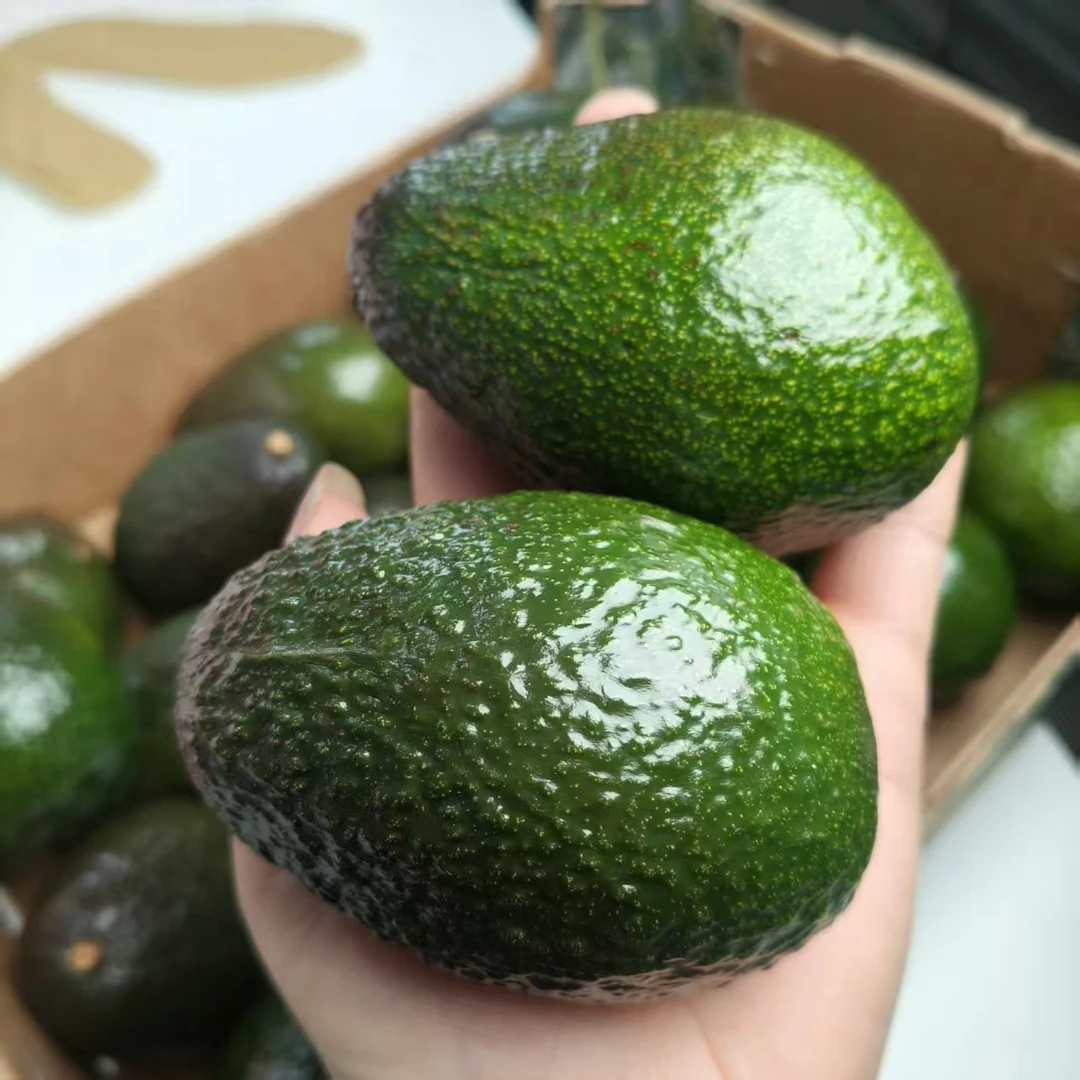 墨西哥进口牛油果（惠鲜）牛油果海南省