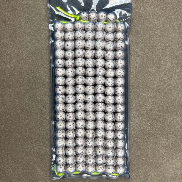 海南原生态白星月菩提珠、老型桶珠（108+15颗）同枝果、尺寸8*7mm