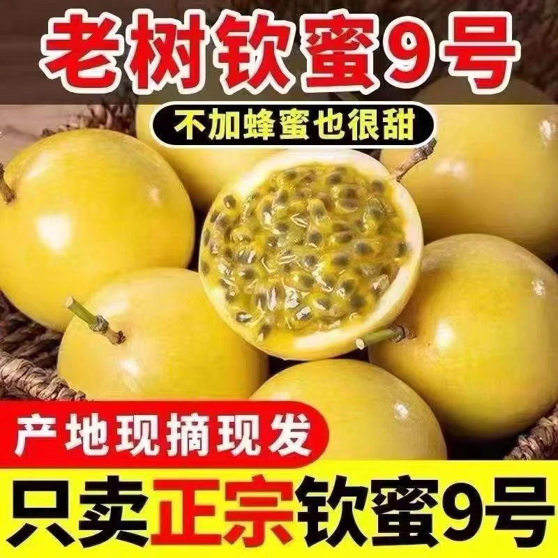 【精品巨无霸】钦蜜九号黄金百香果 越大越过瘾 顺丰包邮