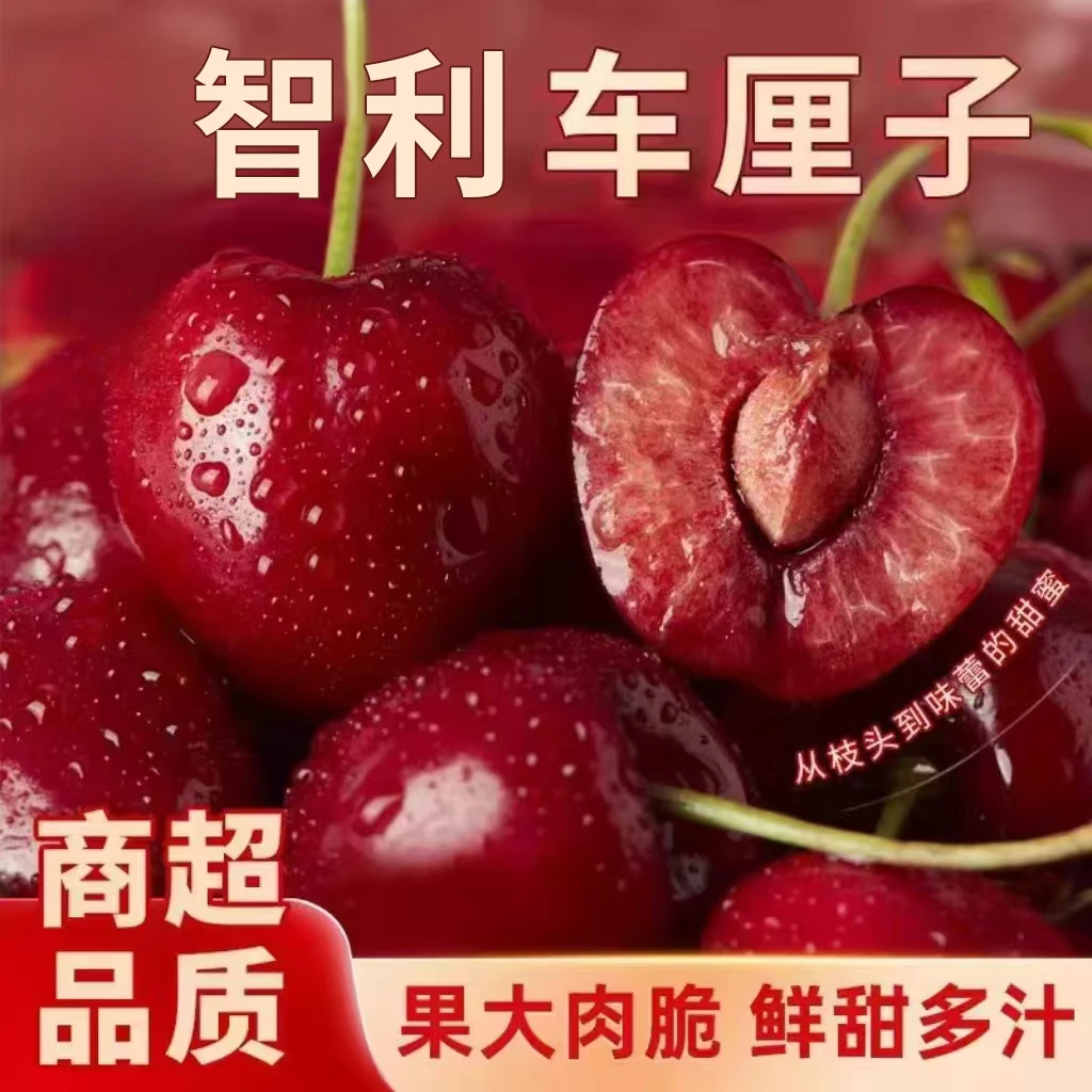 【开年福利】现货智利车厘子新鲜水果爆汁脆甜3J5斤#新年好厘