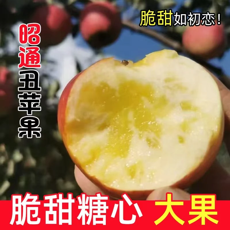 云南昭通丑苹果新鲜现摘脆甜多汁冰糖心水果