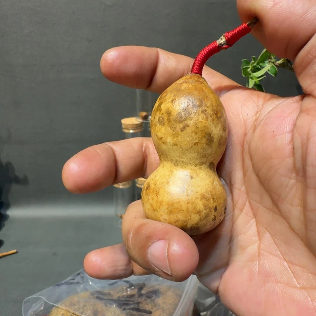 经***典嘎嘎嘎嘎嘎嘎嘎嘎嘎嘎